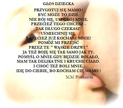 niemowle 2.jpg
